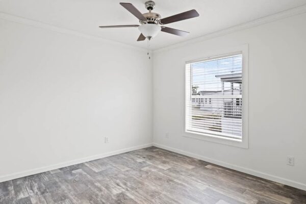 THE DELASHAW - Image 5